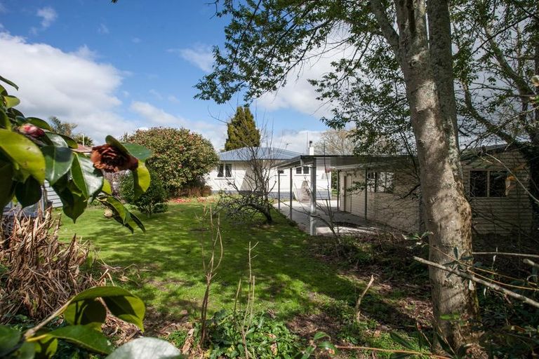 Photo of property in 16 Fitzgerald Avenue, Matamata, 3400