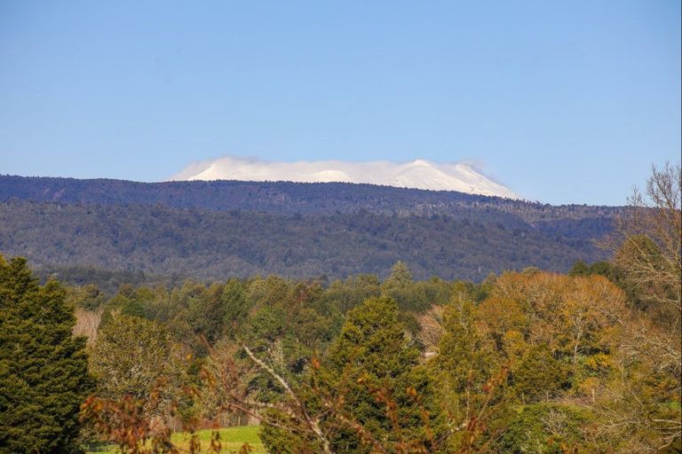Photo of property in 39 Otapouri Road, Owhango, 3989