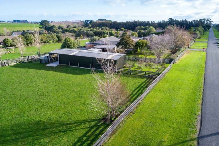 Photo of property in 451 Kaikokopu Road, Brunswick, Whanganui, 4571