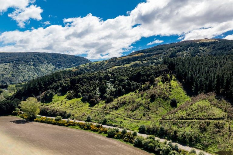 Photo of property in 292 Waipori Falls Road, Berwick, Outram, 9073