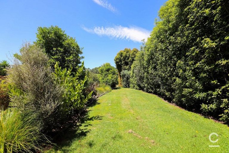 Photo of property in 21c Poripori Road, Lower Kaimai, Tauranga, 3171