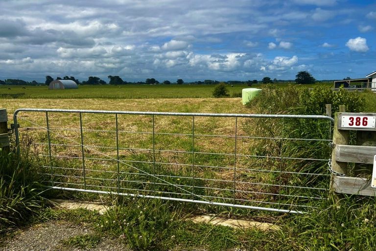 Photo of property in 386 Rongotea Road, Rongotea, 4476