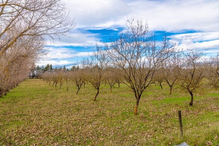 Photo of property in 244 Neal Road, Spring Creek, Blenheim, 7273