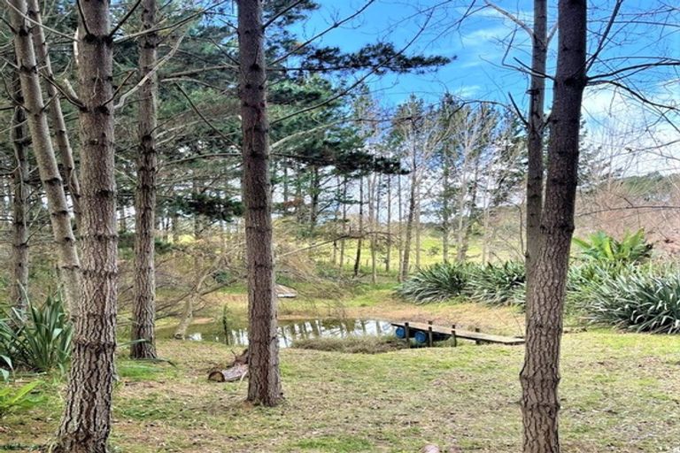 Photo of property in 2201 State Highway 12, Paparoa, 0571