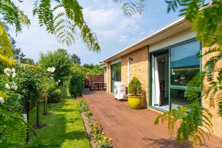 Photo of property in 50 Frederick Street, Carterton, 5713