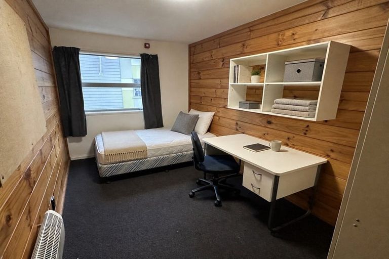 Photo of property in Drummond Street Flats, 27/19 Drummond Street, Mount Cook, Wellington, 6021