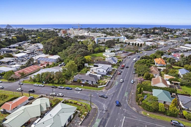 Photo of property in 132 Tukapa Street, Westown, New Plymouth, 4310