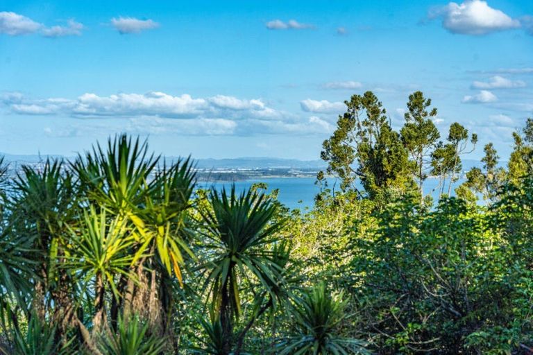 Photo of property in 40 Otitori Bay Road, Titirangi, Auckland, 0604