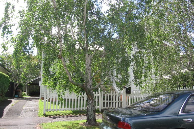 Photo of property in 14 Tarata Street, Mount Eden, Auckland, 1024