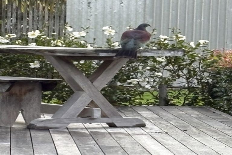 Photo of property in 969 Kaipara Flats Road, Kaipara Flats, Warkworth, 0984