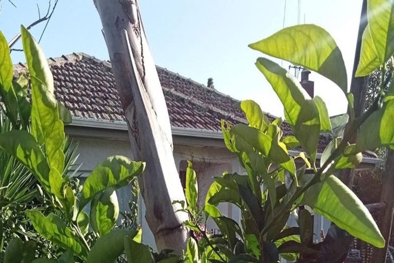 Photo of property in 40 Judea Road, Judea, Tauranga, 3110