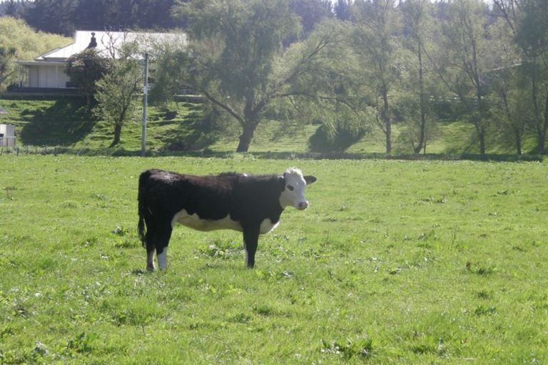 Photo of property in 178 Okoia Road, Okoia, Whanganui, 4582