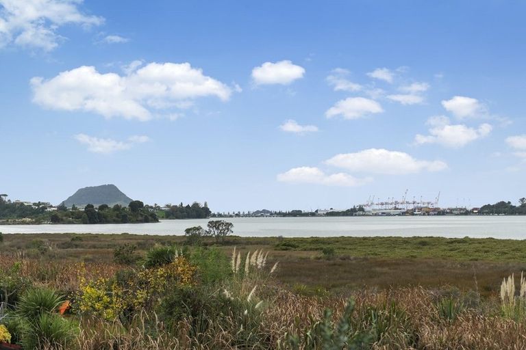 Photo of property in 1 Blenheim Place, Judea, 3110