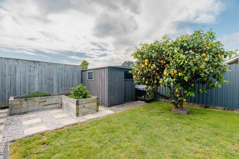 Photo of property in 149b Eversham Road, Mount Maunganui, 3116