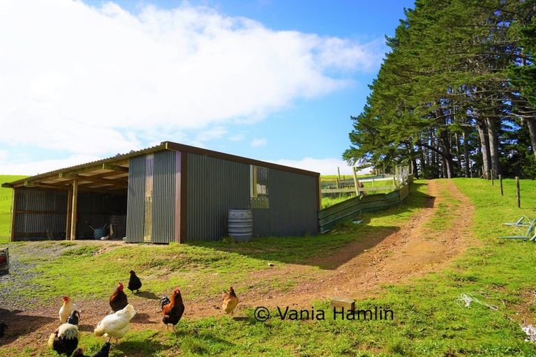 Photo of property in 533 Pataua South Road, Pataua South, Onerahi, 0192