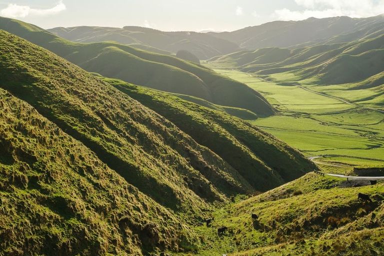 Photo of property in 292 Boom Rock Road, Ohariu, Wellington, 6037