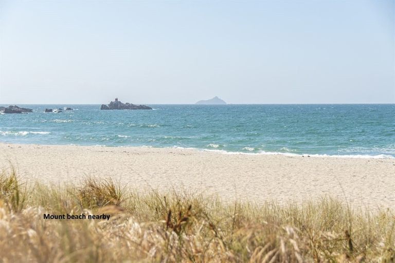 Photo of property in 362d Maunganui Road, Mount Maunganui, 3116