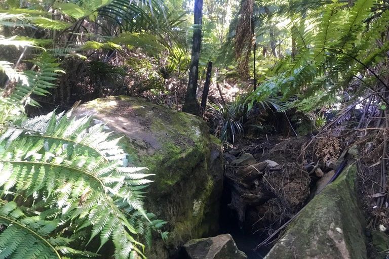 Photo of property in 455 Tuateawa Road, Tuateawa, Coromandel, 3583