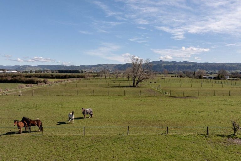 Photo of property in 84 Grieve Road, Otakiri, Whakatane, 3193