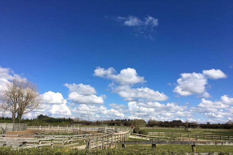 Photo of property in 49 Trentham Road, Matangi, Hamilton, 3284