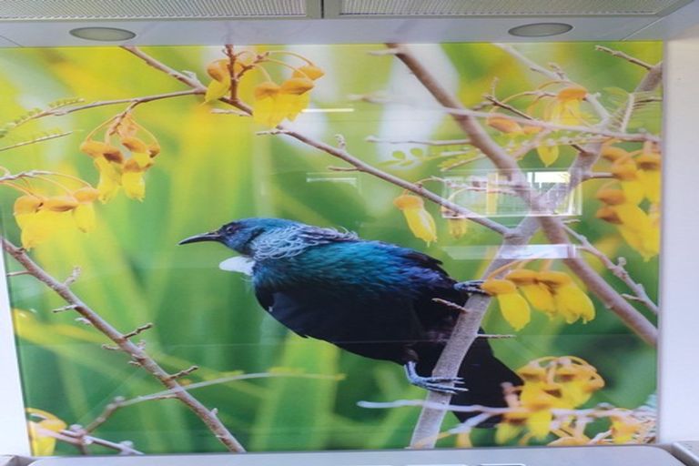 Photo of property in 42b Russell Road, Huntly, 3700