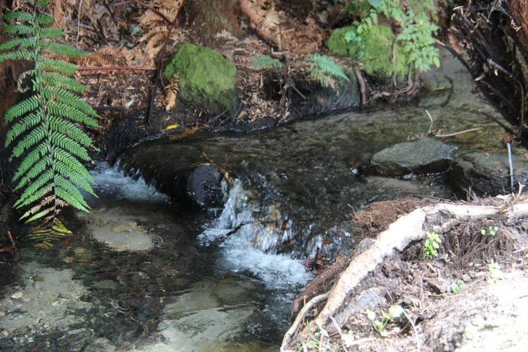 Photo of property in 483 Spencer Road, Lake Tarawera, Rotorua, 3076