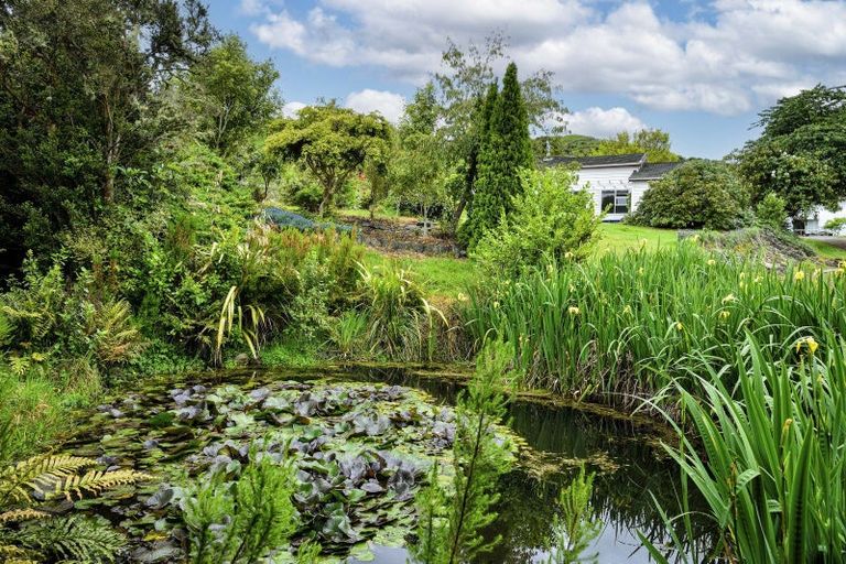 Photo of property in 18 King Street, Motu, Te Karaka, 4092
