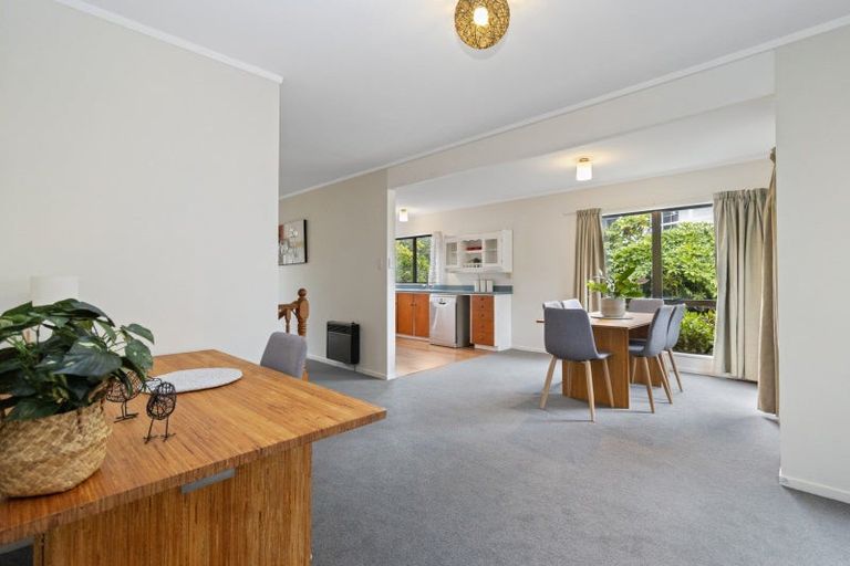 Photo of property in 50 Pelorus Street, Glenview, Hamilton, 3206