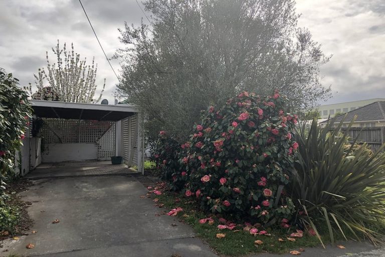 Photo of property in 56 Moffett Street, Islington, Christchurch, 8042