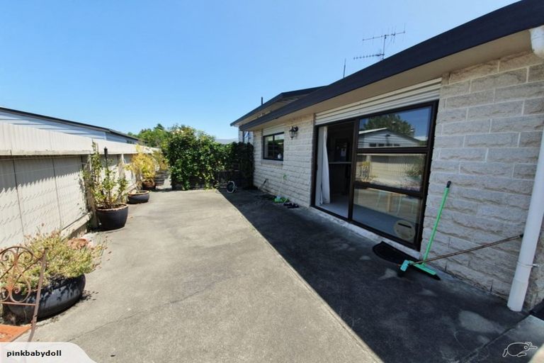 Photo of property in 25 Ryan Crescent, Greenmeadows, Napier, 4112