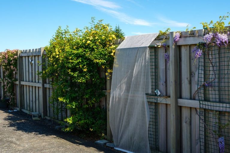 Photo of property in 68a Church Street, Mosgiel, 9024
