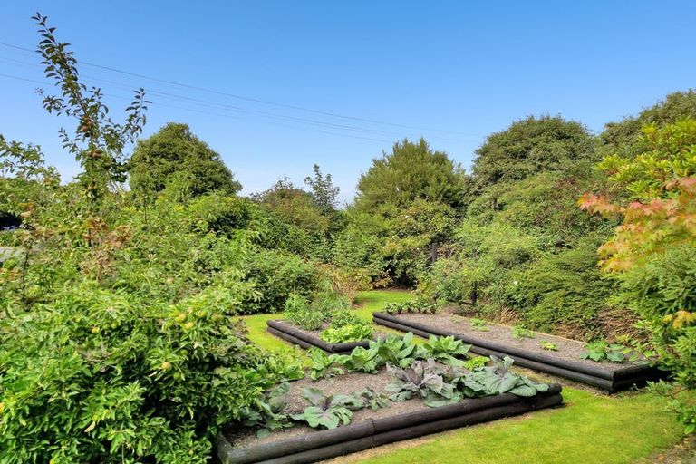 Photo of property in 14 Stuart Street, Owaka, 9535