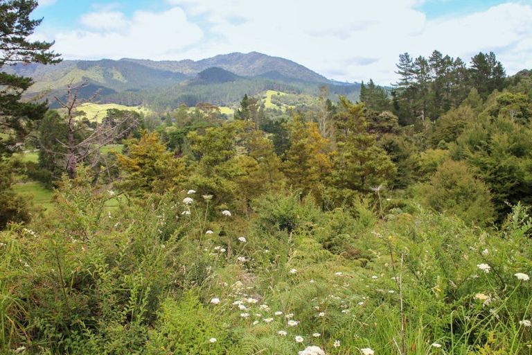 Photo of property in 65 Peria Valley Road, Kaitaia, 0481