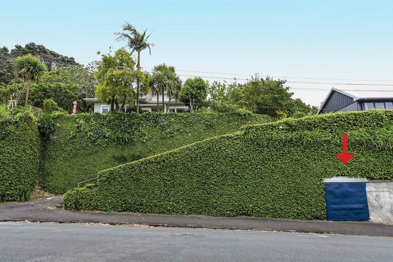 Photo of property in 100 Gover Street, New Plymouth, 4310