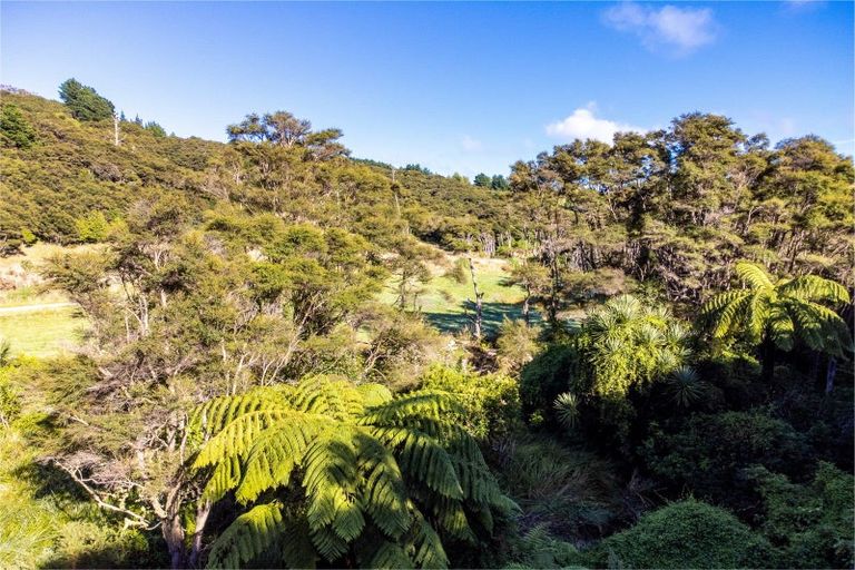 Photo of property in 1469 Pack Spur Road, Mataikona, Masterton, 5889