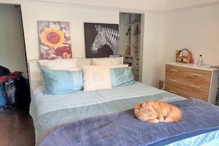 Photo of property in 16 Gordon Street, Southbridge, 7602