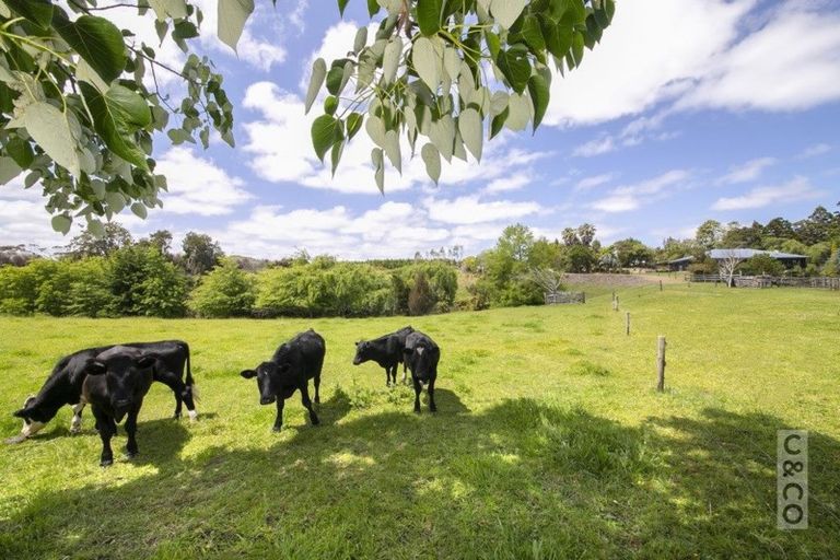 Photo of property in 166 Rimmer Road, Helensville, 0875