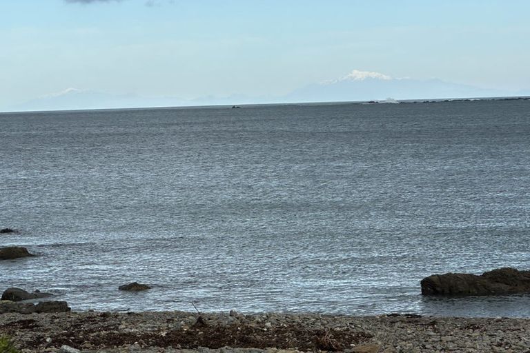 Photo of property in 50 Moa Point Road, Moa Point, Wellington, 6022