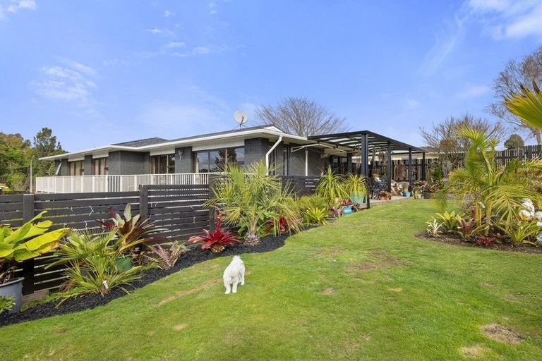 Photo of property in 17 Pukekohatu Street, Waitara, 4320