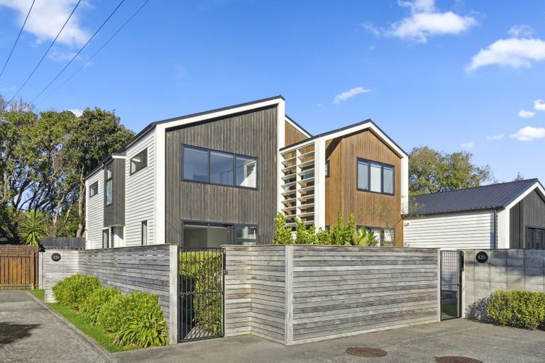 Photo of property in 42c Tennyson Street, Petone, Lower Hutt, 5012