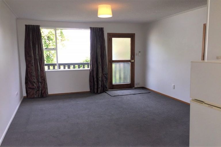 Photo of property in 36 Berry Street, St Albans, Christchurch, 8014