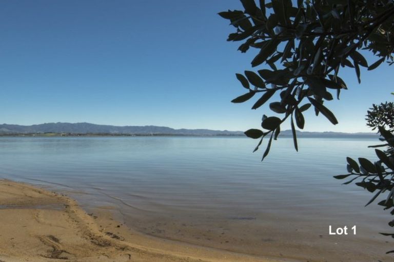 Photo of property in 340d Pahoia Road, Whakamarama, Tauranga, 3172