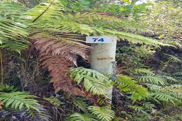 Photo of property in 74 Wangapeka Road, Little Wanganui, Karamea, 7893