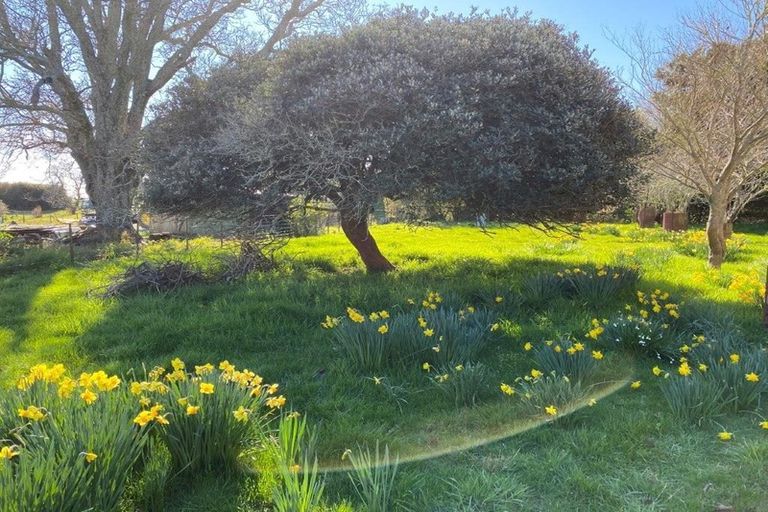 Photo of property in 35 Central Takaka Road, Takaka, 7183