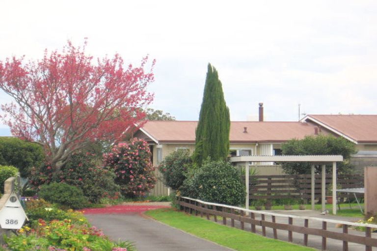 Photo of property in 386 Otumoetai Road, Otumoetai, Tauranga, 3110