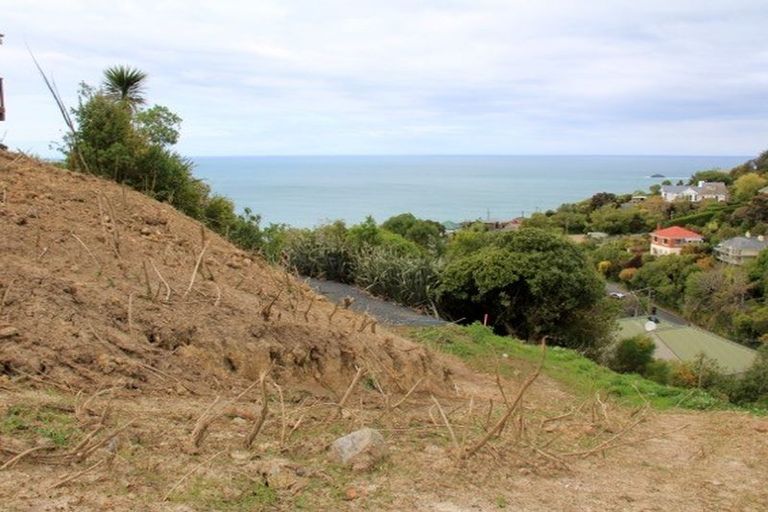 Photo of property in 114a Ravenswood Road, Saint Clair, Dunedin, 9012