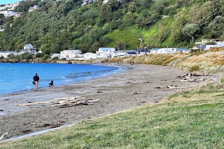 Photo of property in 90b Awa Road, Seatoun, Wellington, 6022