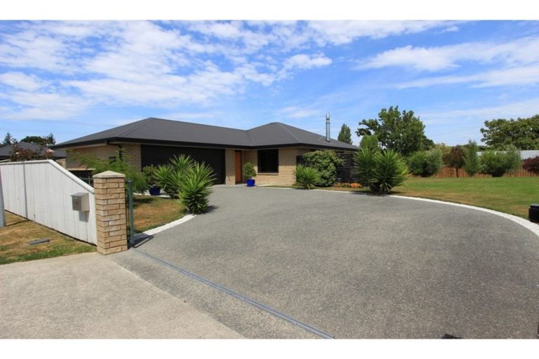 Photo of property in 14 Mcisaac Place, Renwick, 7204