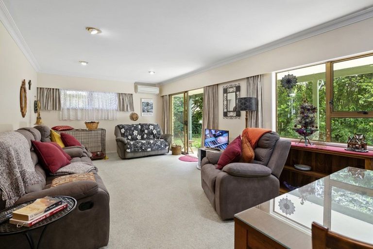 Photo of property in 1209a Cameron Road, Gate Pa, Tauranga, 3112