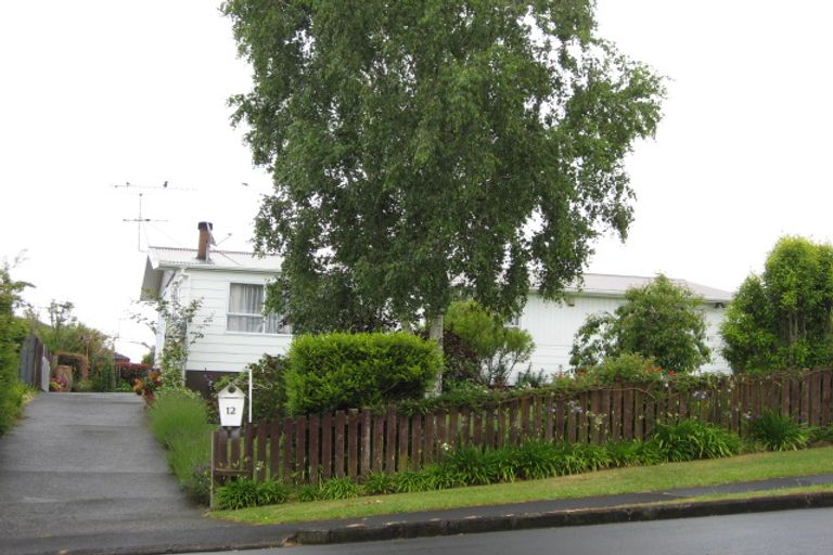 Photo of property in 12 Willowbrook, Pukekohe, 2120